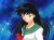 Kagome300